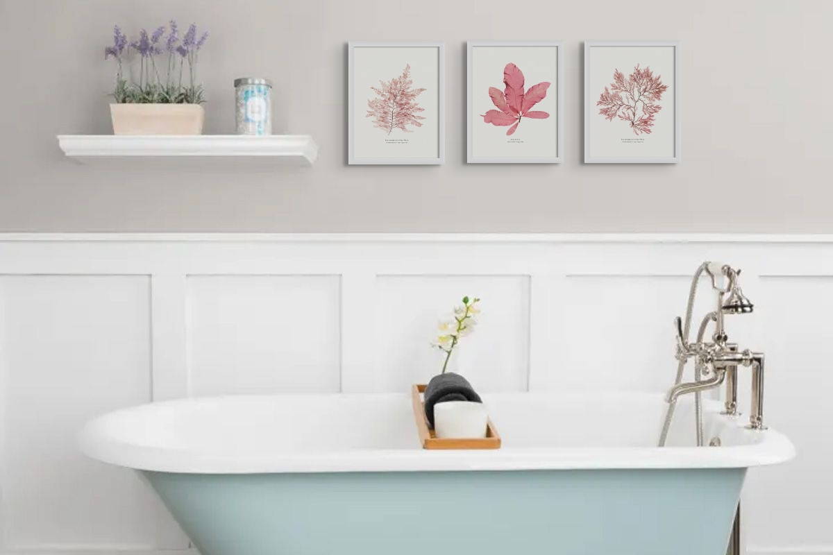 How To Choose Wall Art For Your Bathroom - Bathroom Art – Beach House Art